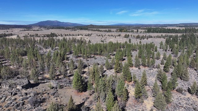 lot # 600 oregon pines rd