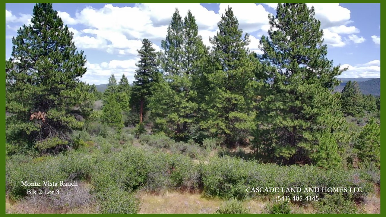 Lot #3 David St Monte Vista Subdivision