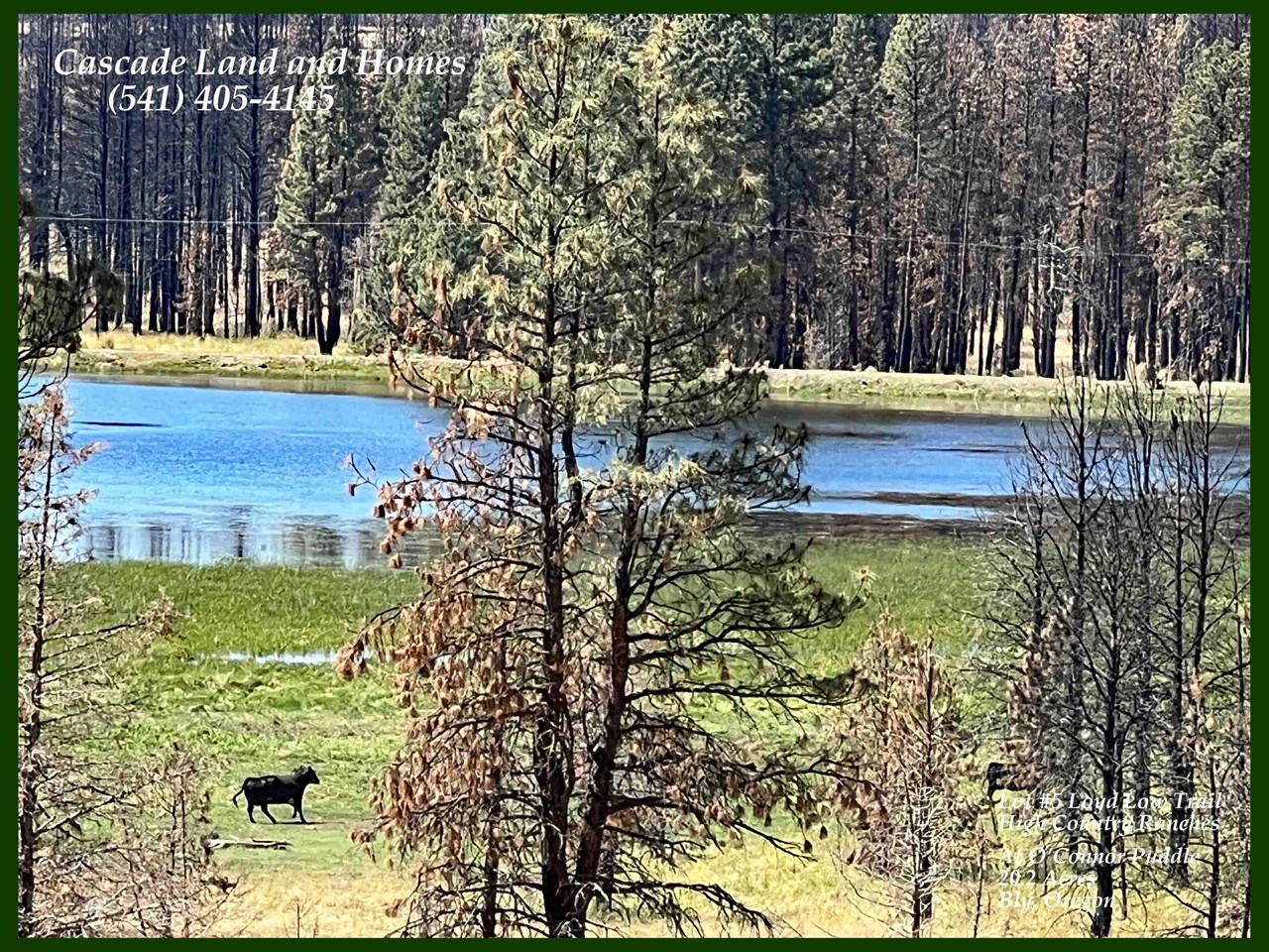 Lot #5 Loyd Low Trail