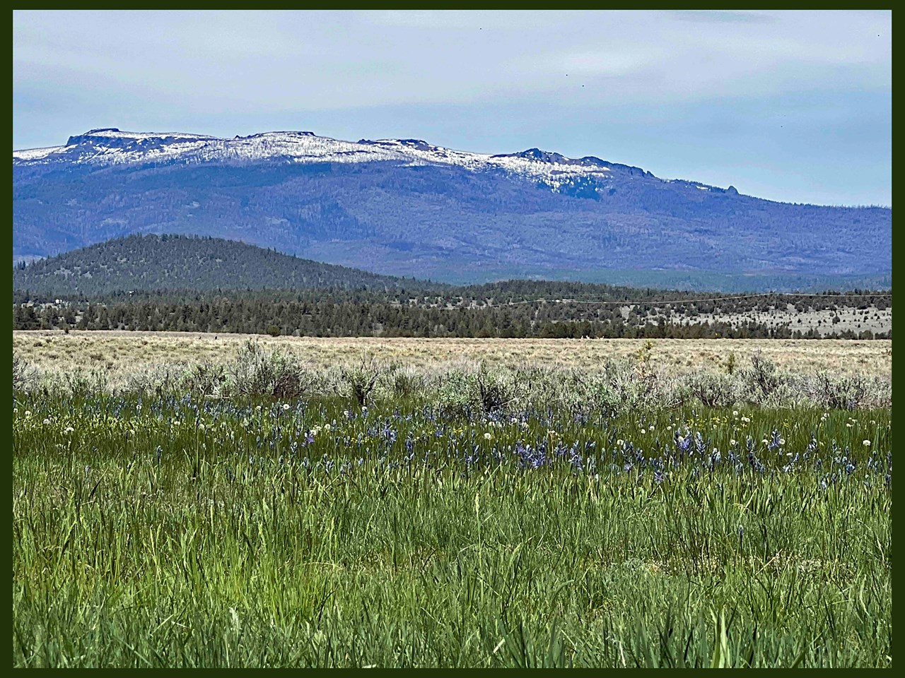 Parcel 8500 Fish Hole Creek Road