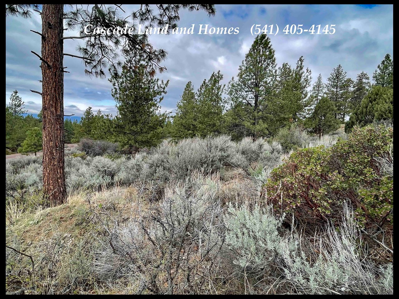 Lot 25 Legget Dr in Bella Vista