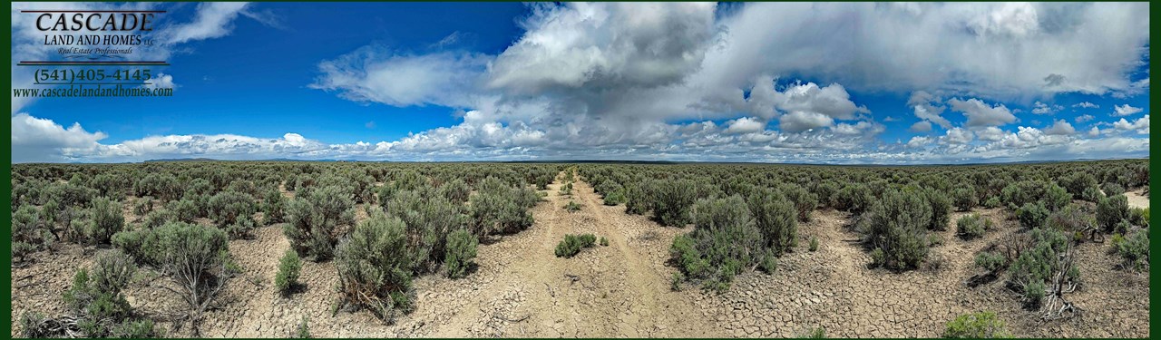 Lot # 5200 120 acres Off Lost Forest Ln