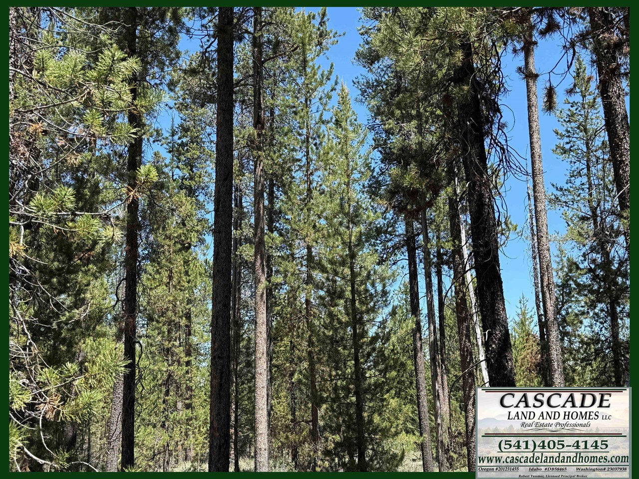 Lot 300 NF Road 9768