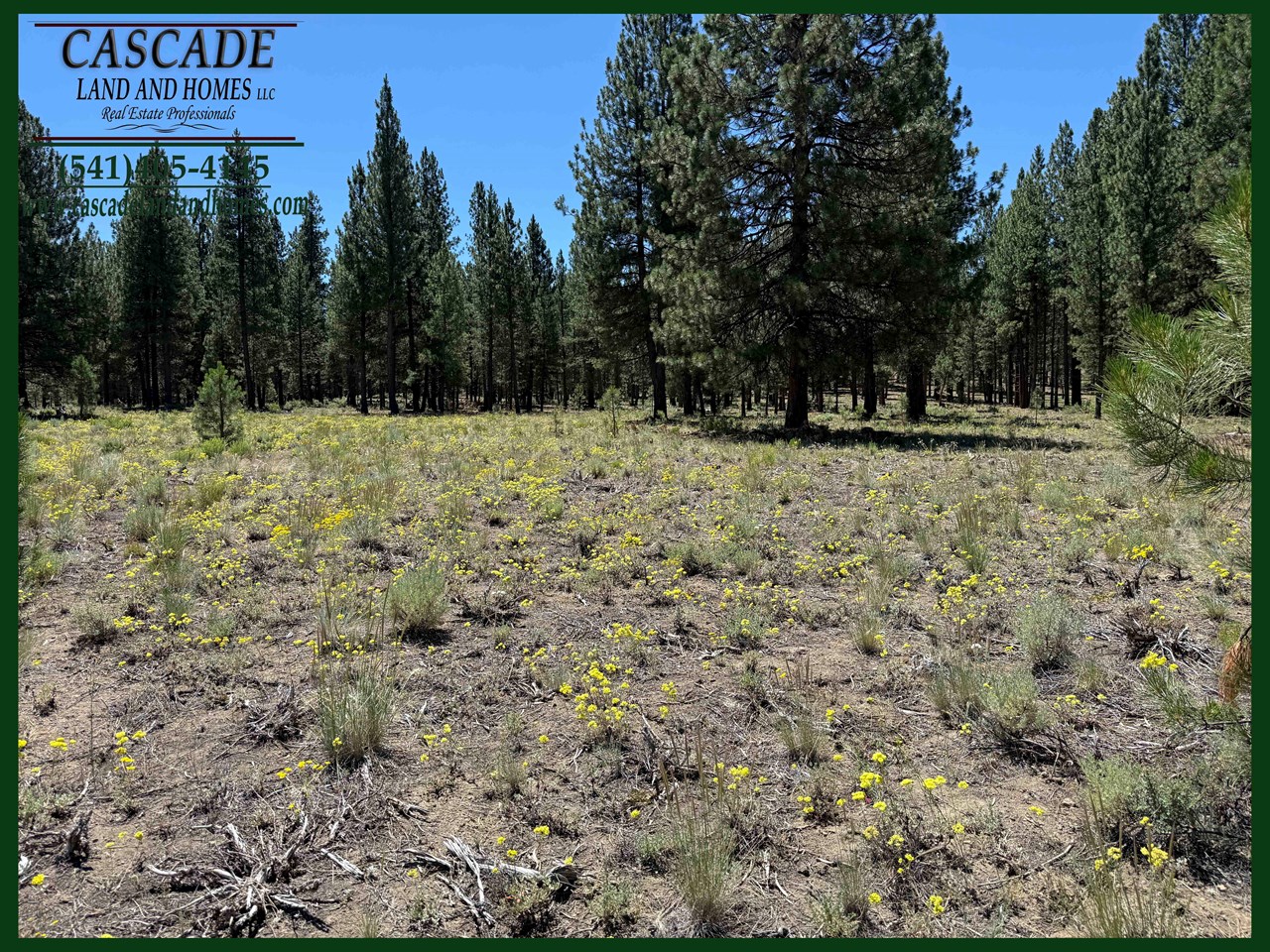 Lot #2 Off of Sprague River Road